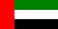 Dubaï - Drapeau