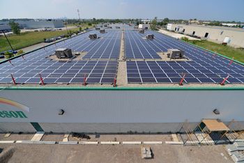 Ontario Jamieson Laboratories4