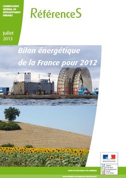 Rapport CGDD juillet 2013