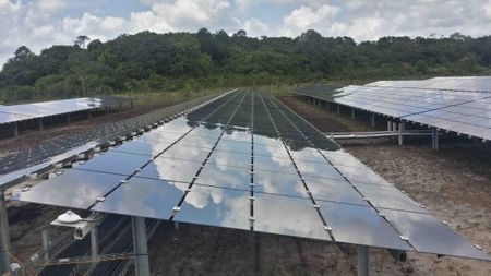 Toucan_zoom_panneaux