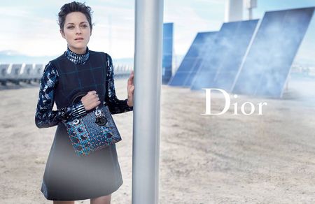Cotillard