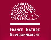 FNE