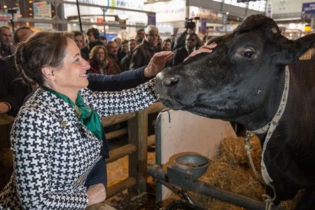 Ségolène Royal - Vache