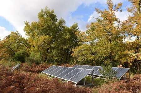 Solaire + Foret