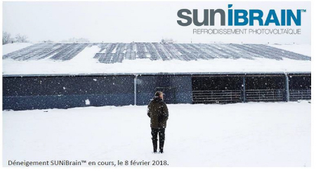 Sunibrain_neige