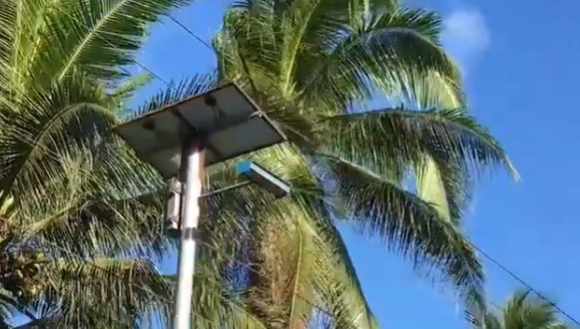 Neogy