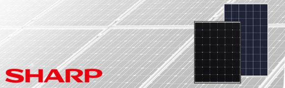 Sharp-solar-pv
