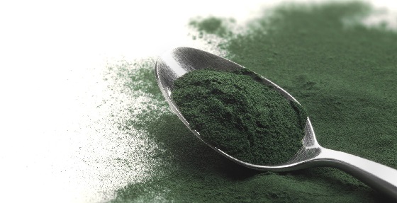 Spiruline