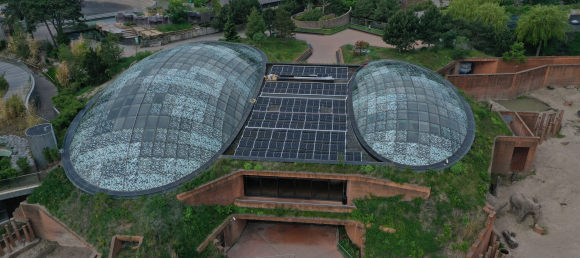 Copenhagen Zoo Elephant House with Q CELLS modules