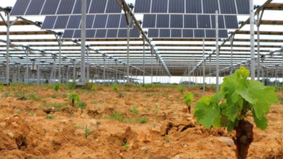 Sun’Agri