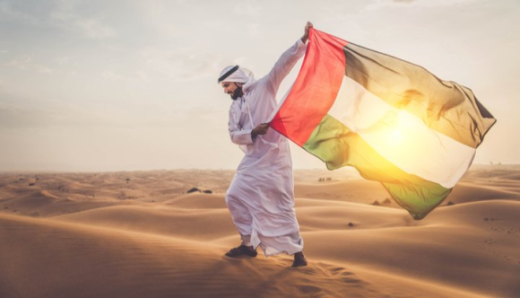 Emirats_solar_drapeau