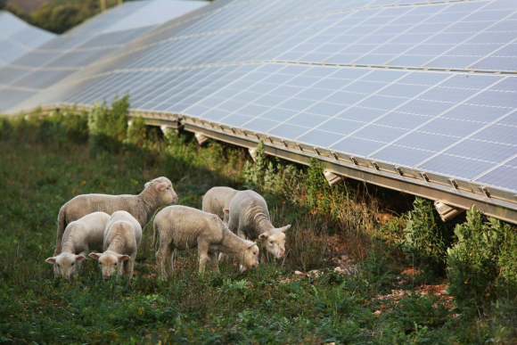 Centrale_Mouton
