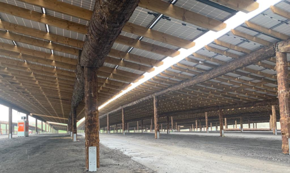 Pairi_Daiza