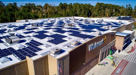Walmart_Schneider