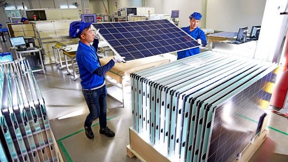 Trina_module_industrie