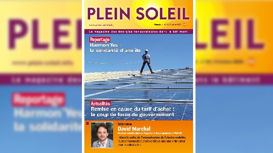 Plein_Soleil_69_Flouté