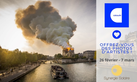 SYNERGIE_SOLAIRE_Catawiki_560