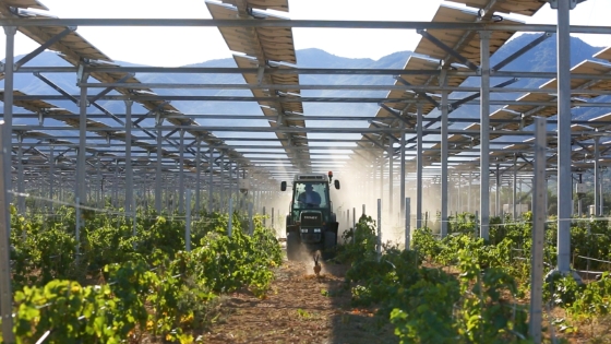 Tressere_Sun'Agri