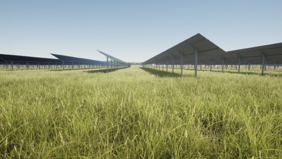 GreenYellow_Agri