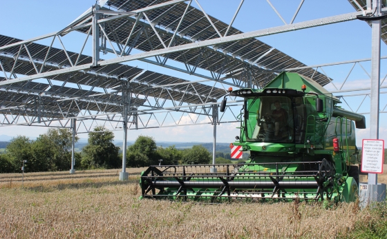 Agrivoltaïcs