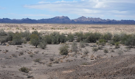 Desert_Quartzite_Solar-plus-Storage