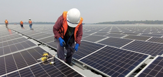 Greenyellow_Cambodge