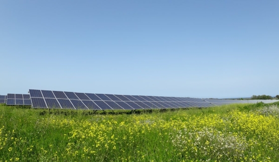 Corsia_Sole_Lot-et-Garonne