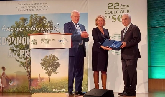 Pompili_Bal_SER_2021