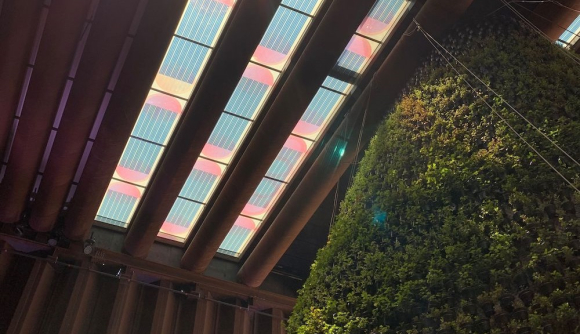 The_Netherlands_Pavilion_Expo_2020_Dubai_BD