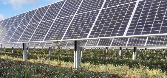 VALOREM_Saint-Léger-Lès-Paray