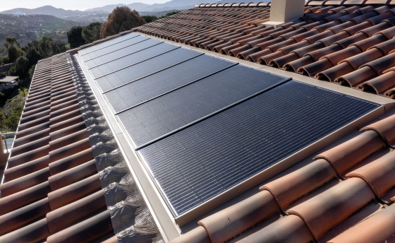 Terreal__stefbravin0151