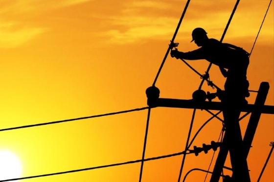 Think Smartgrids et EY Parthenon