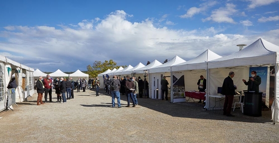 Salon-Elairage-Public-2020-©Xavier-Morize-0