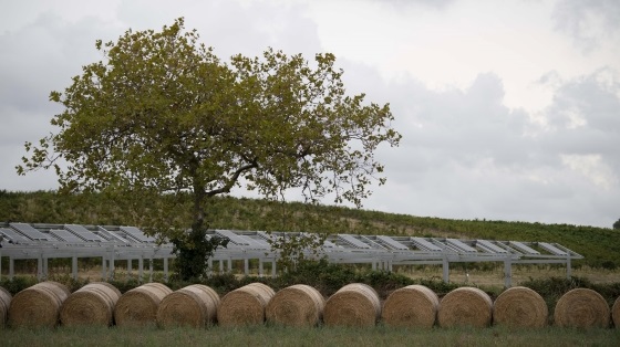 TotalEnergies_Ombrea