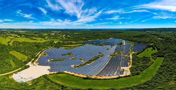 Picarreau_BFC_CORSICA_SOLE