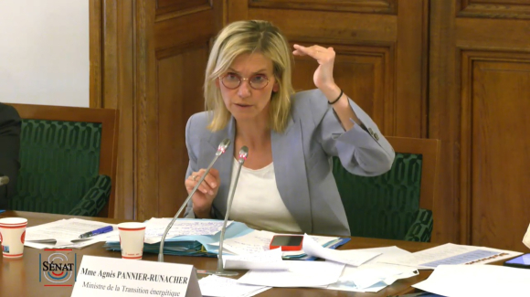 Pannier-Runacher-Sénat