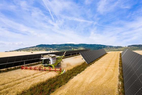 Interspace Agri-PV picture