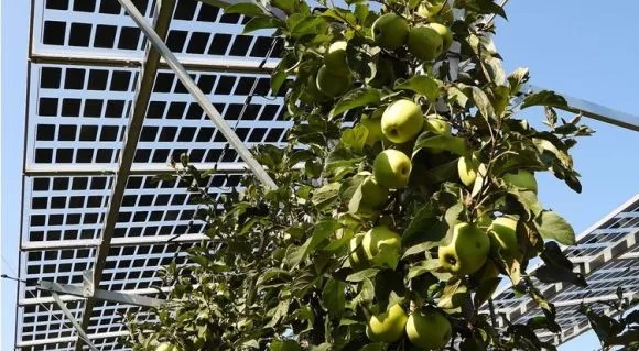 BayWa r.e._Orist BayWa r.e._Orist