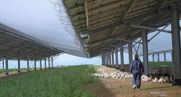 Technique_Solaire_Volailles