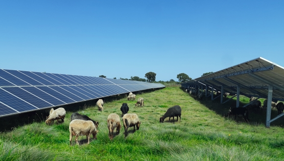 Corsica_Centrale_Moulin_de_Beuvry