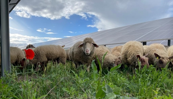 Centrale solaire Volgelsheim (3)