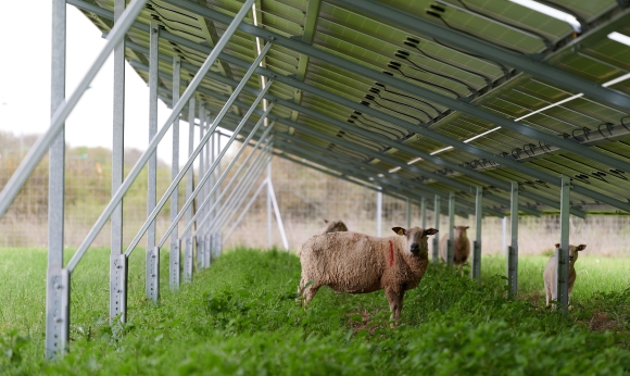 Baywa.RE-Aurelien-Mae