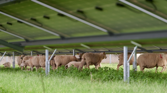 Baywa.RE-Saint-Julien-sur-Cher