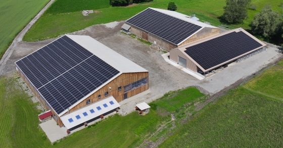 Terre et Lac et Lendosphere