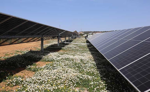 Banca March  Alantra Solar