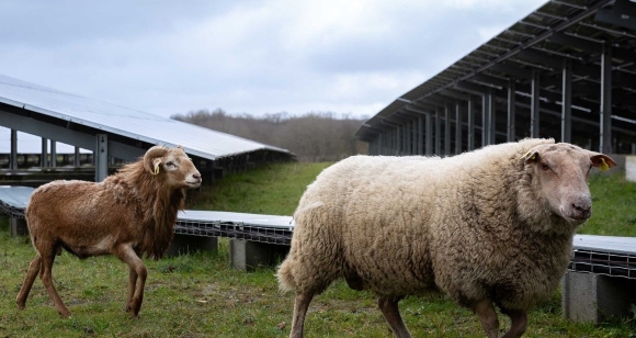 TotalEnergies Saint-Léger-de-Linières