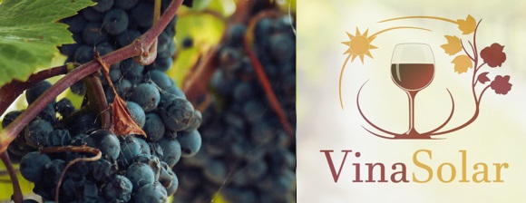 Vinasolar