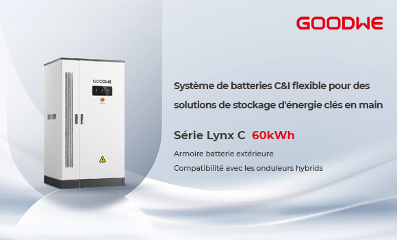 Image-publi-info-Goodwe-europe