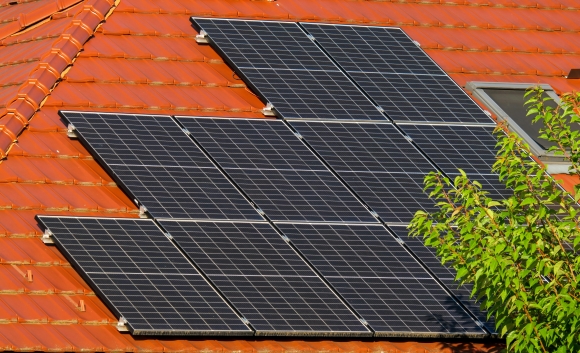 Mon soleil du Poitou