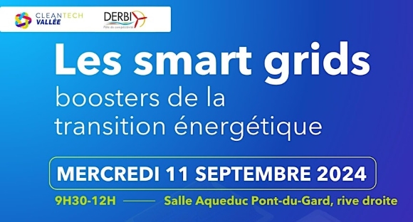 Les Smart Grids DERBI